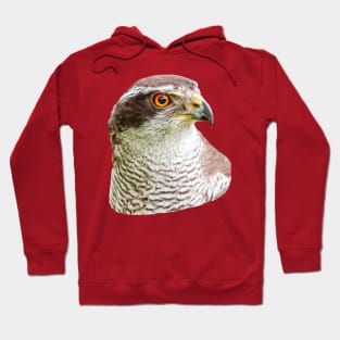 Goshawk Portrait Hoodie